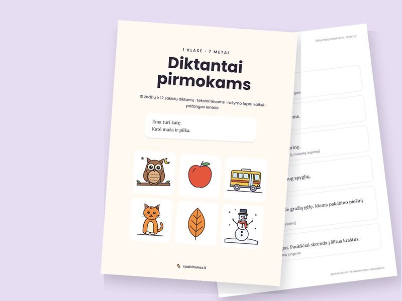 Diktantai pirmokams – peržiūra
