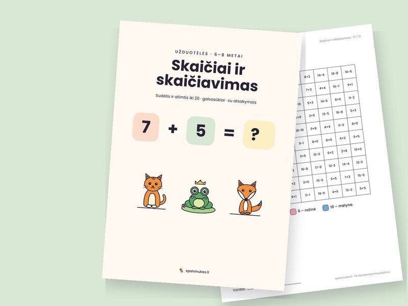 Skaičiai ir skaičiavimas – peržiūra